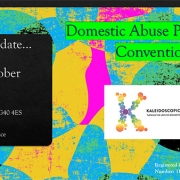 Domestic Abuse Convention Kaleidoscopic UK