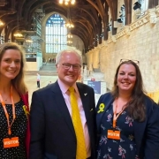 Kaleidoscopic UK & Survivor Voices in Parliament